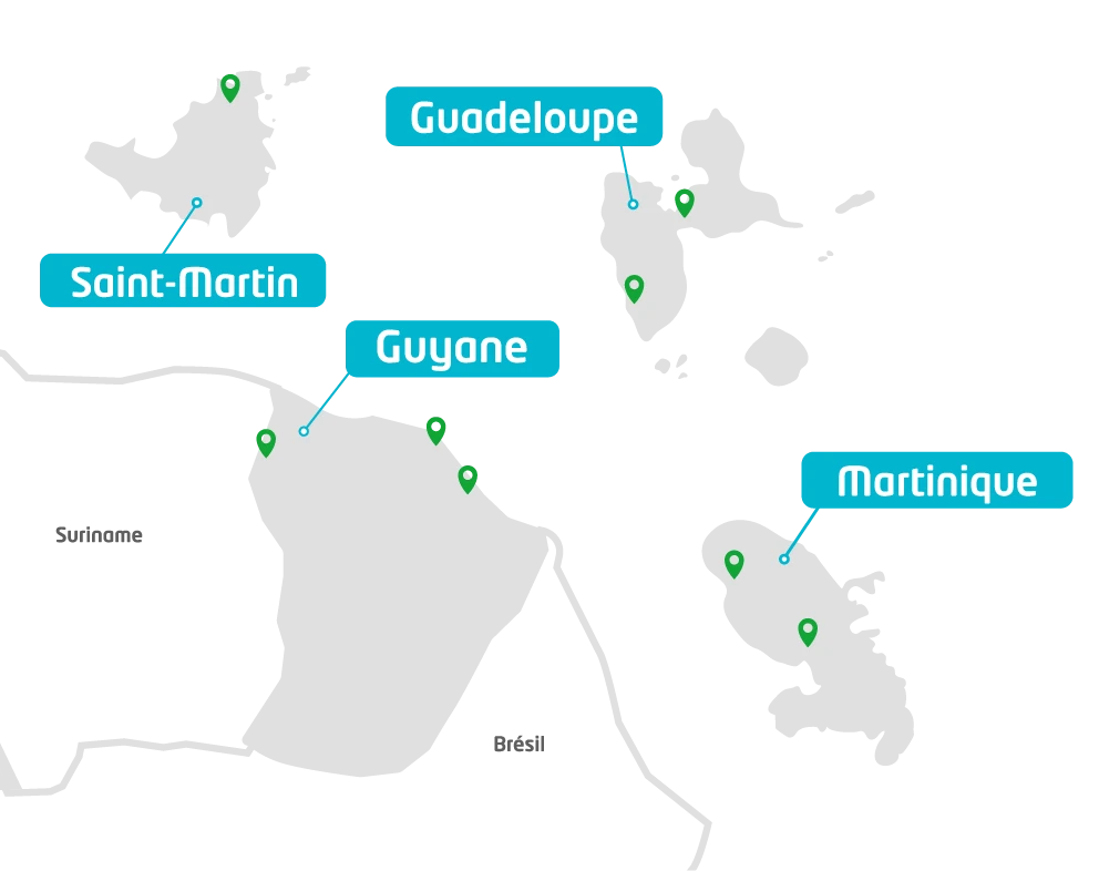 cs-inser-antilles-guyane-interim-insertion